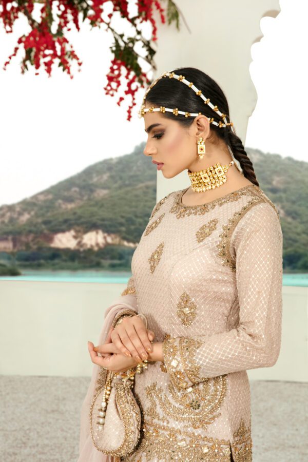 Pink Royal Gharara Dress - Image 4