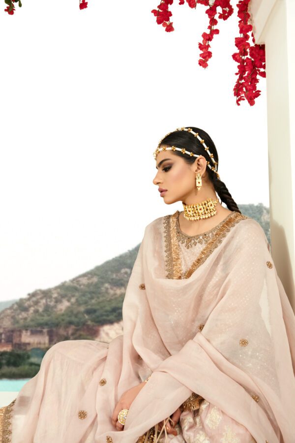 Pink Royal Gharara Dress - Image 5