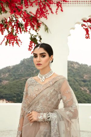 Grey Net Saree