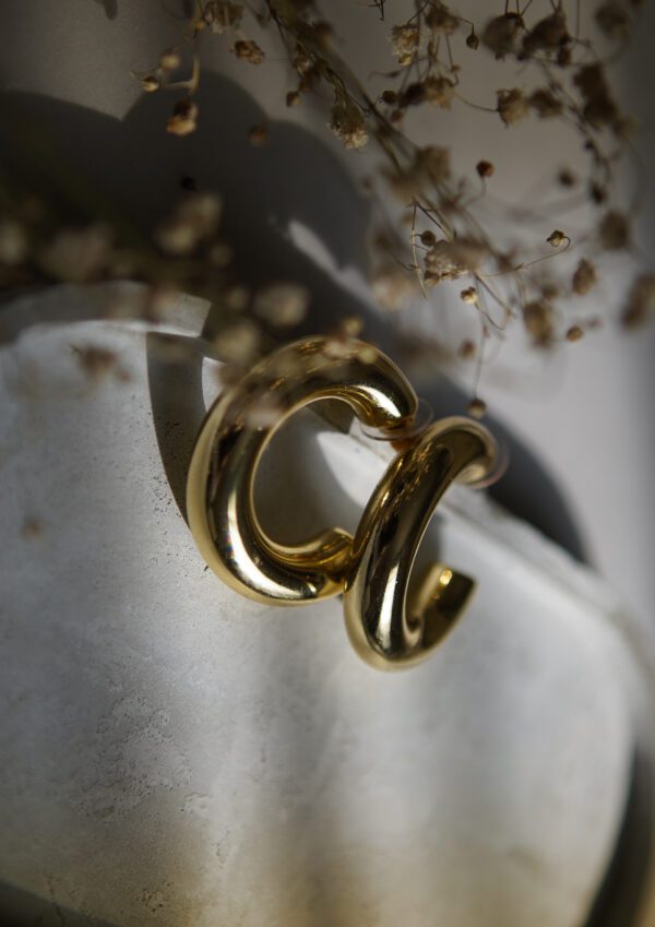 Big Hoops - Image 2
